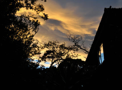 TreeTop House in Monteverde at sunset