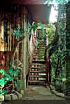 Entrance TreeTop Studio vacation home Monteverde